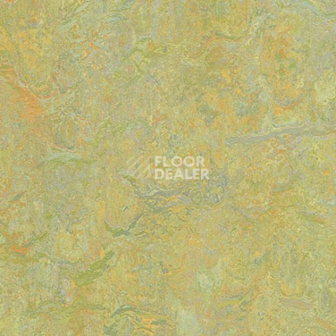 Линолеум Forbo Marmoleum Decibel on Order 341335 green melody фото 1 | FLOORDEALER